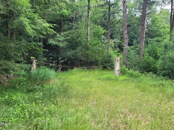 State Route 534, Albrightsville, PA 18210