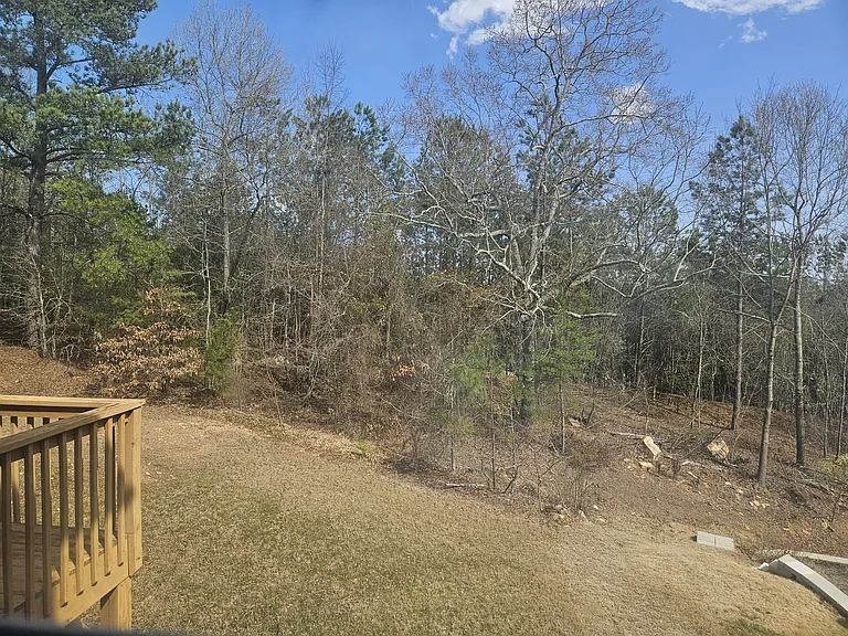 window view from first floor guest bed room window to backyard