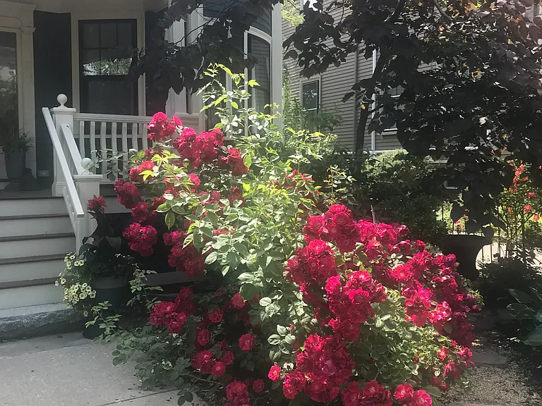 12 Maple Ave — Photo 8