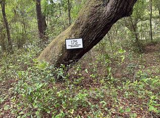 175 E Cowpen Lake Rd, Hawthorne, FL 32640