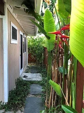 524 Auwai St — Photo 6