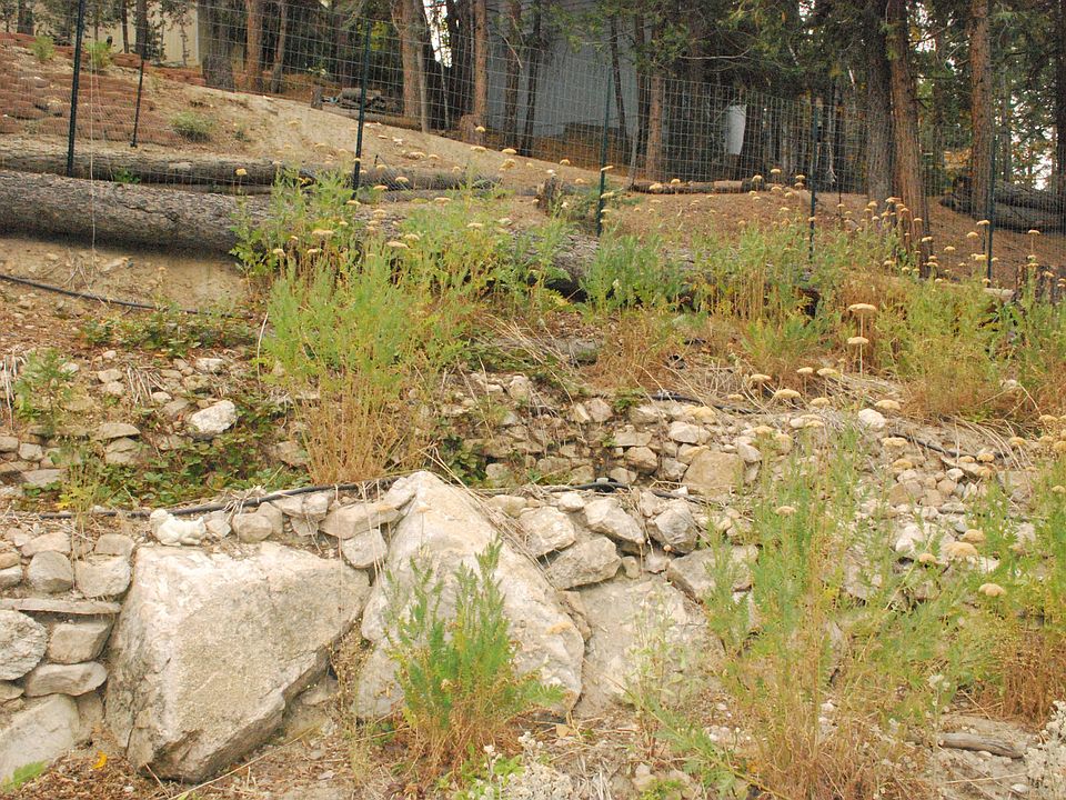 terraced garden