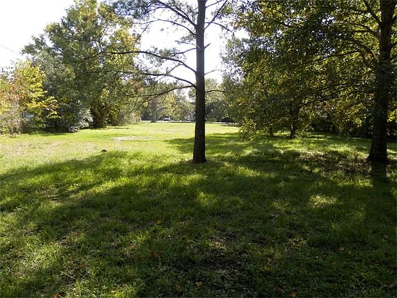 Enjoying more shade in the back of this property.