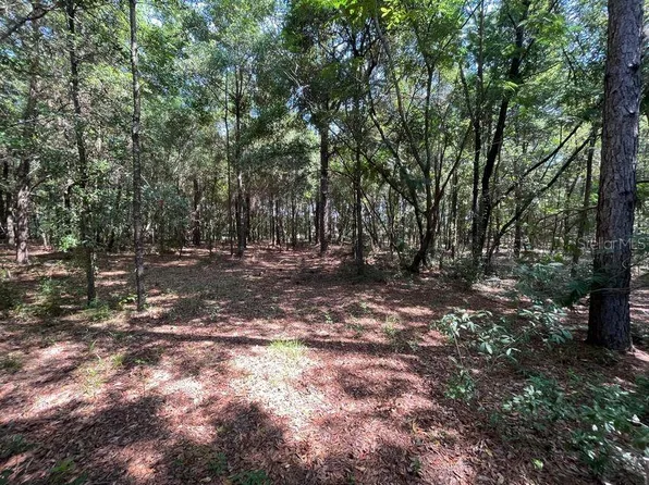 Marine Boulevard Lot #22, Dunnellon, FL 34431