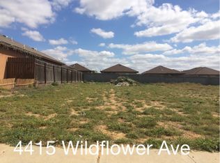4415 Wild Flower Ave, Laredo, TX 78045