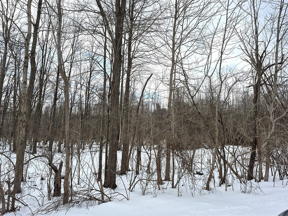 2nd image of 12561 Old Albion Rd