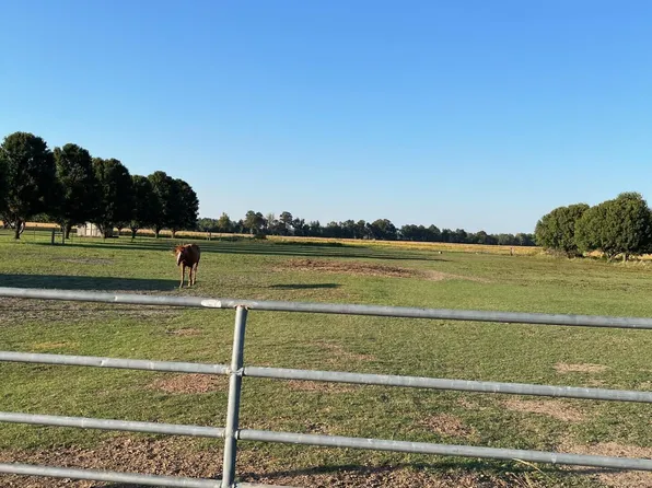 0 Wynnburg Bluebank Rd, Tiptonville, TN 38079