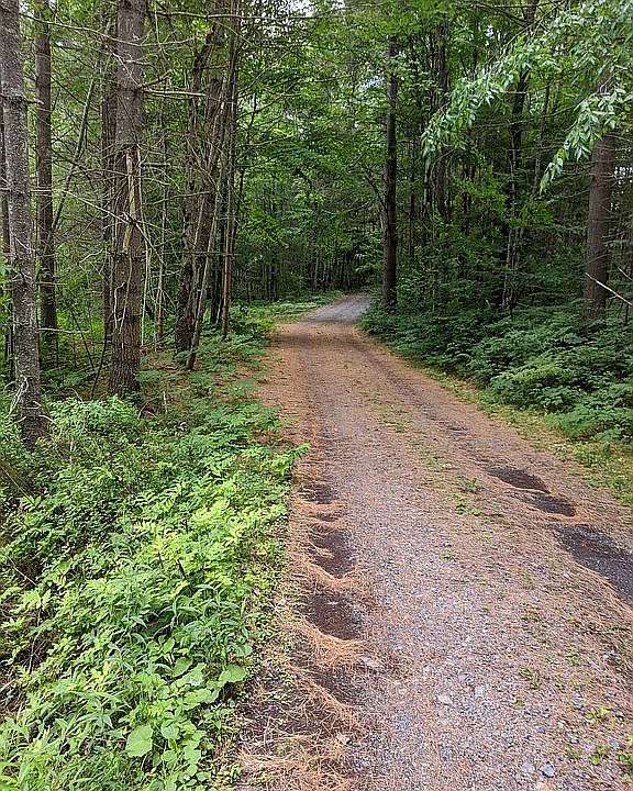 1st image of Pine Wood Dr