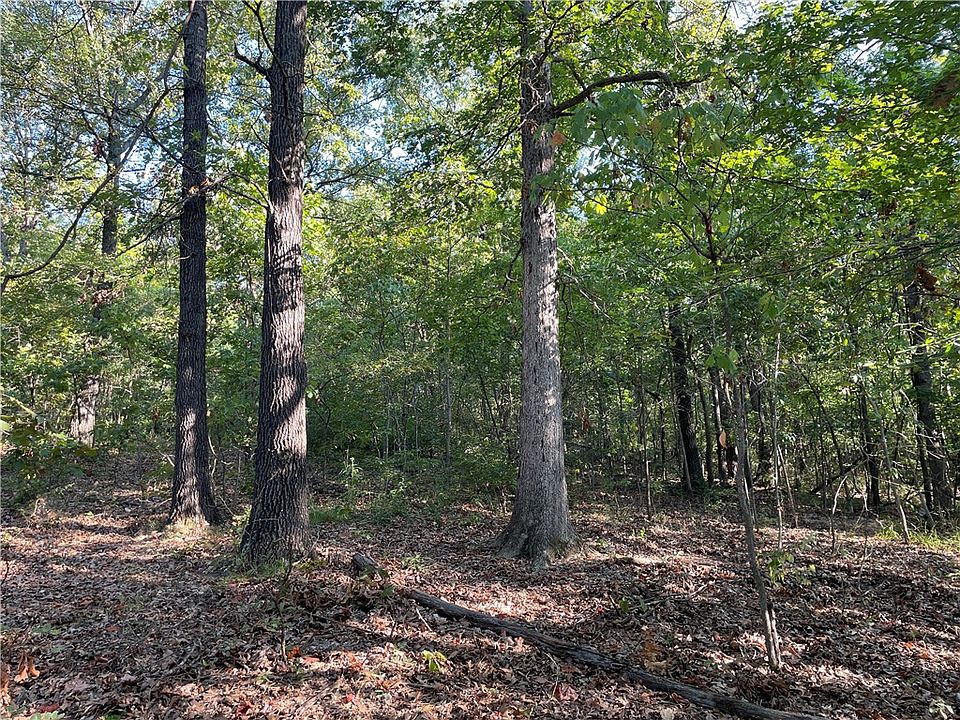 1st image of Appaloosa Dr #62