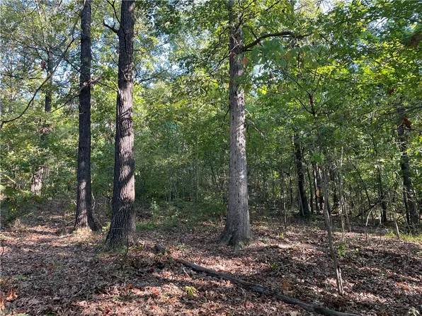 Appaloosa Dr #62, Rogers, AR 72756