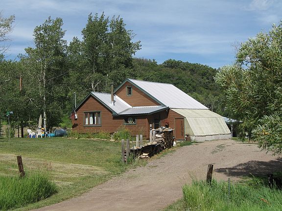 Summer landscape
