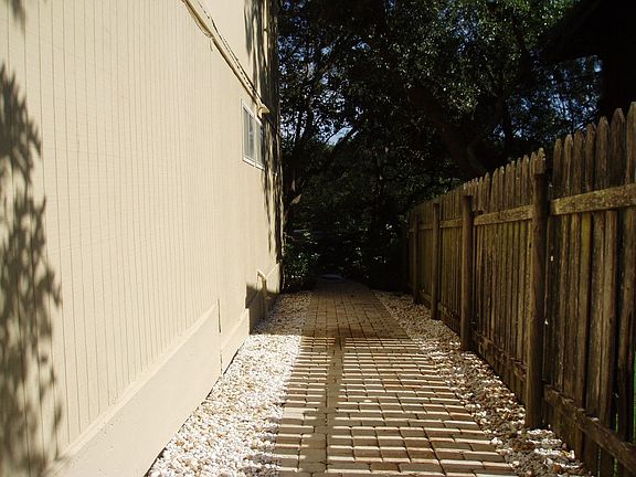 side walkway of the house