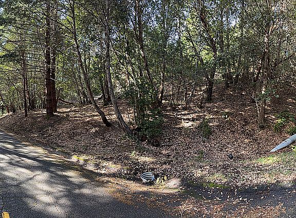 Flattish 200 Forest at Toth 