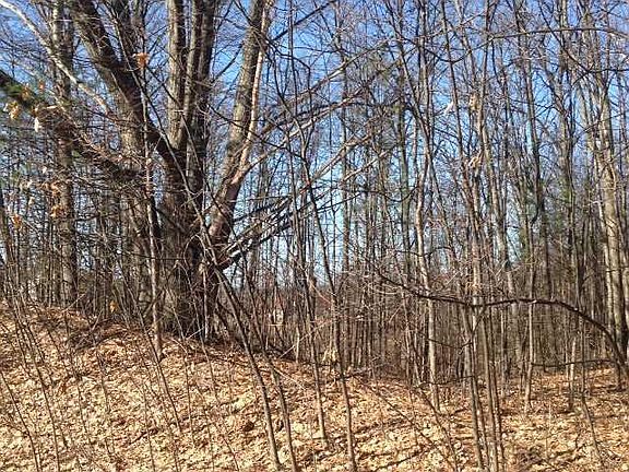 3rd image of Seven Hills Rd