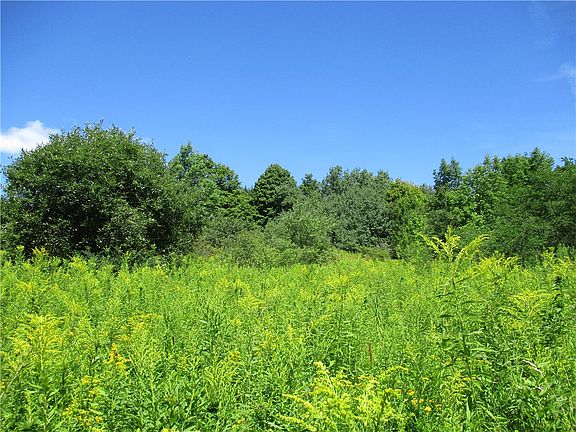 4th image of 0 Daniels Rd