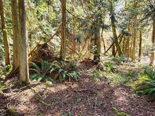 0 Lot 27 Skunk Bay Road NE, Hansville, WA 98340