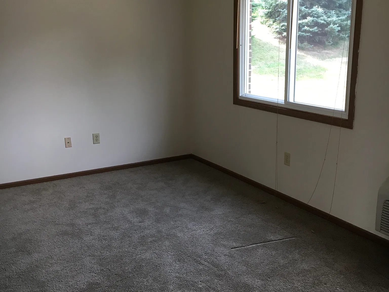 1 bed, $725 — Photo 2