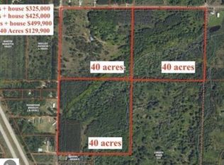 43 1/2 Road B, Manton, MI 49663