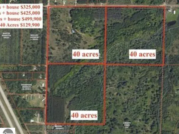 43 1/2 Road B, Manton, MI 49663