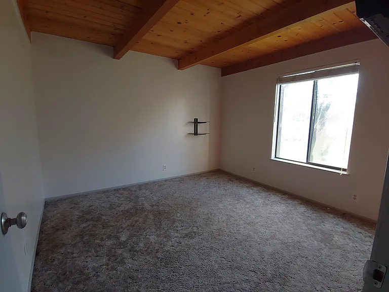 17309 Squirrel Ct — Photo 11