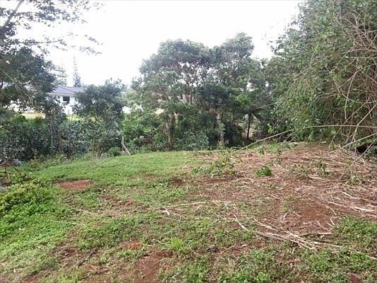 2nd image of 6976 Holopono Pl Lot 6