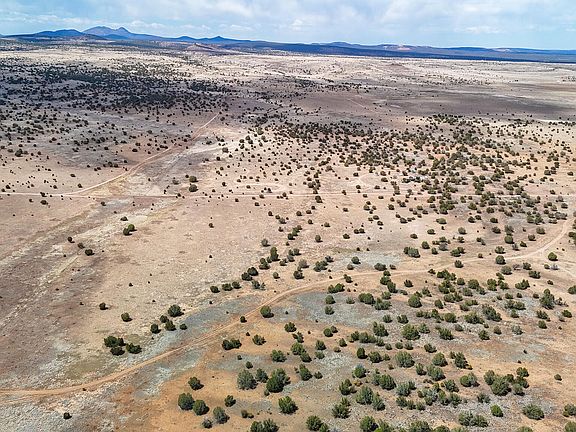 3rd image of 0 W Mile High Rd. Lot D 10 acres -- #84