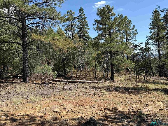 2nd image of 98 Private Drive 1781 Dr