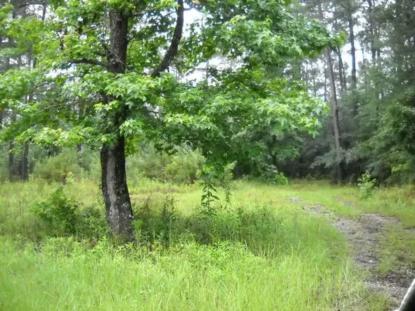 39 County Road 228, Elba, AL 36323
