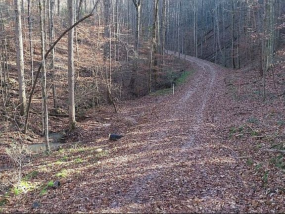 3rd image of 475 Mel Hall Rd