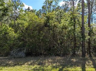 0 NE 108th Pl, Waldo, FL 32694