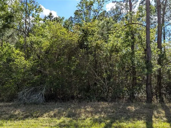 0 NE 108th Pl, Waldo, FL 32694