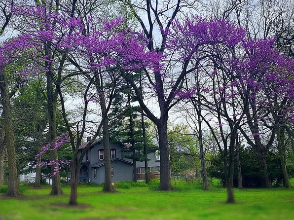 611 S Clay St, Mount Carroll, IL 61053