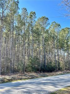0 Autryville Rd, Autryville, NC, 28318