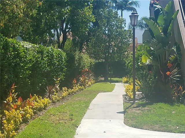 2nd image of 4 Flor De Sol #17