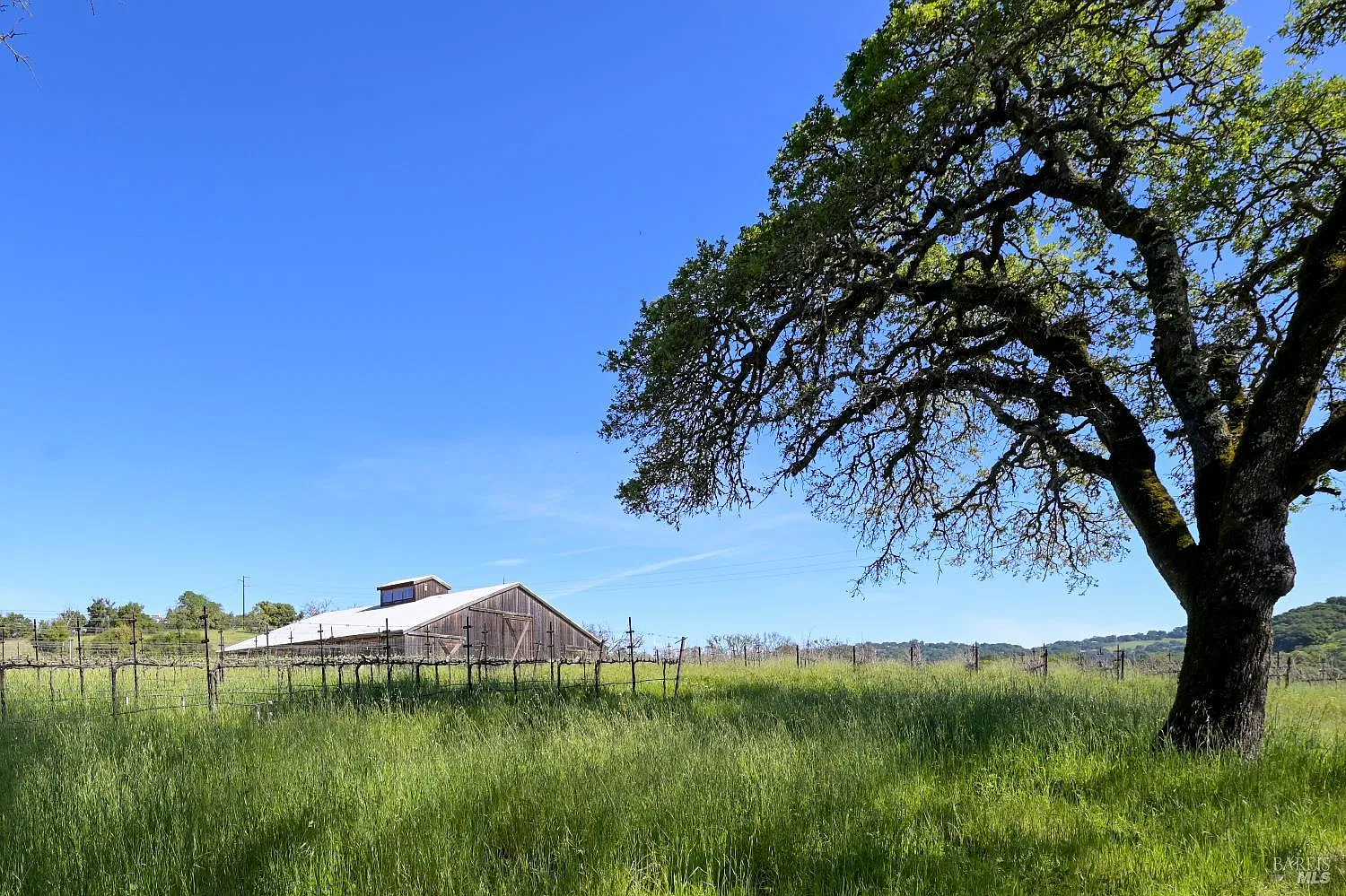 4525 Shiloh Ridge - Photo 2