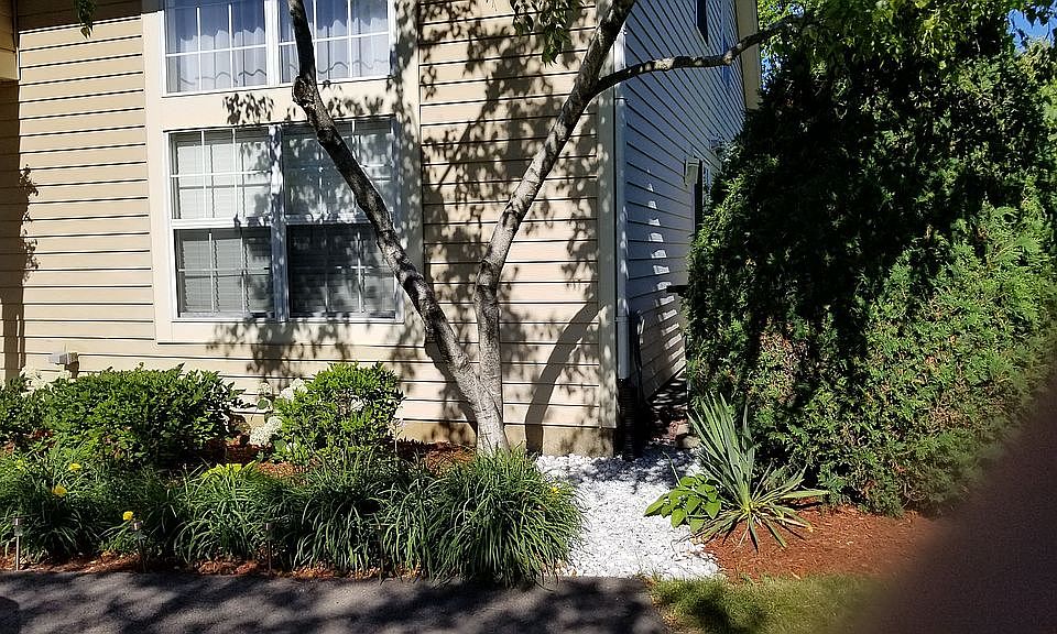 1st image of 343 Wisteria Dr