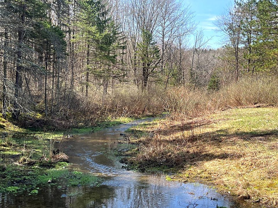 597 Bliven Coye Hill Rd Lot 2, Smyrna, NY 13464 | MLS #11732756