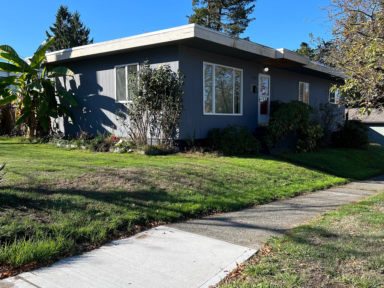 3 bed, 920 sqft, $3,000 — Photo 2