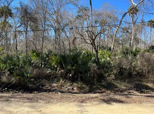  Ancient Oaks Dr, Steinhatchee, FL 32359