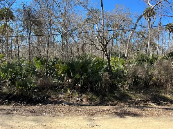  Ancient Oaks Dr, Steinhatchee, FL 32359