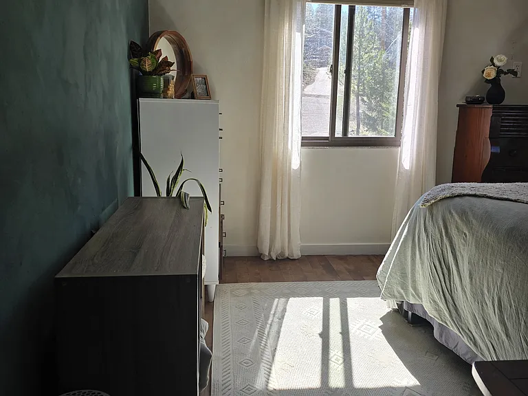 6782 Snowshoe Trl — Photo 11