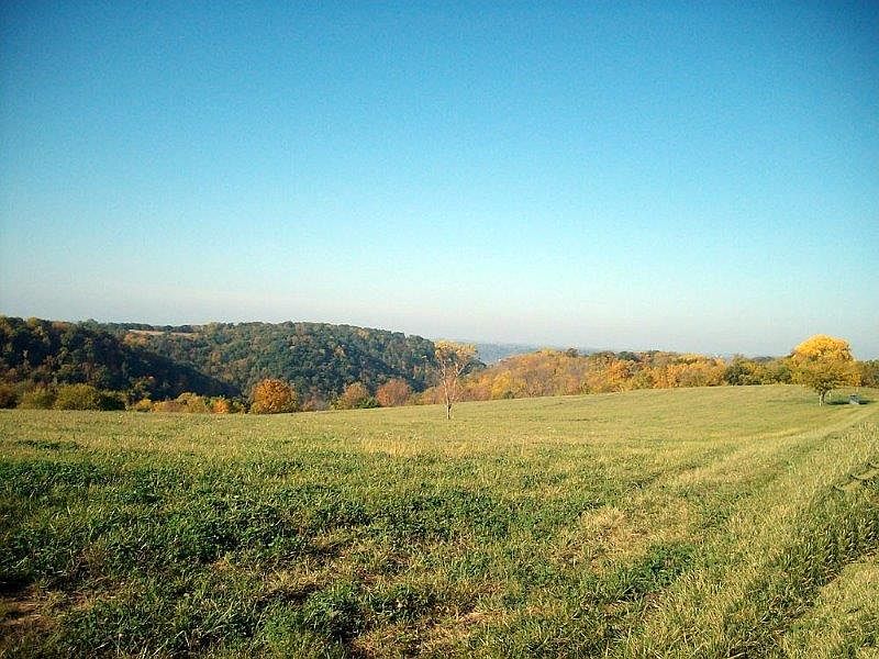2nd image of Mississippi River Ridge Lot#3