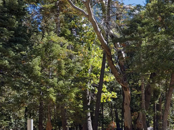 Forest Dr, Idyllwild, CA 92549