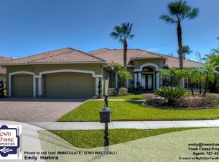 9614 Tree Tops Lake Rd, Tampa, FL 33626