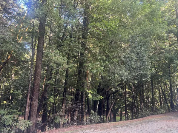 25195 Bluejay Lane, Willits, CA 95490