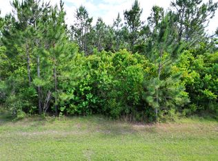 110 Torrey Pine Trl, Wewahitchka, FL 32465
