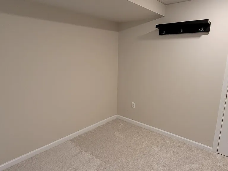 Basement Area #1 (small storage area behind door)