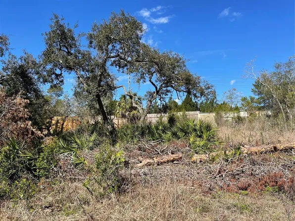 16883 Dry Tortugas Run #100, Hudson, FL 34667