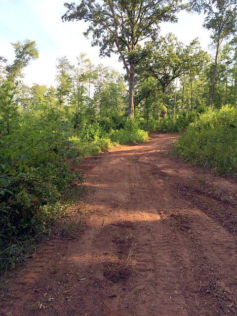 2nd image of Zebulon Rd