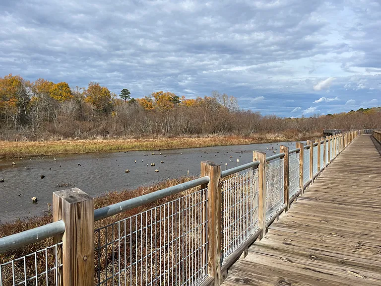 Local tuckahoe creek park
